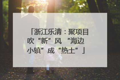 浙江乐清：聚项目吹“新”风 “海边小镇”成“热土”